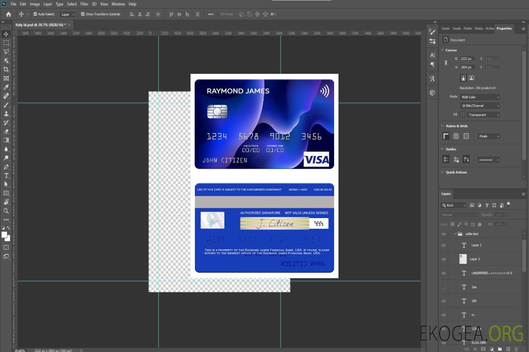 Carte visa USA Raymond James Financial Bank template Carte visa USA Raymond James Financial Bank template